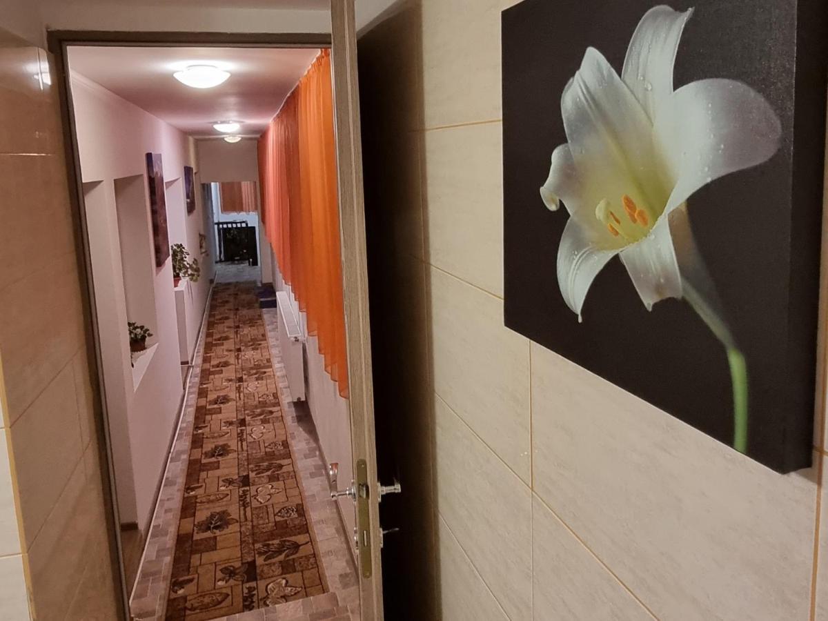Вилла Roca House Брашов Экстерьер фото